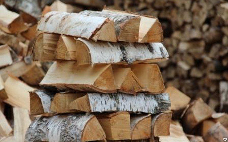 Какими дровами топить камин