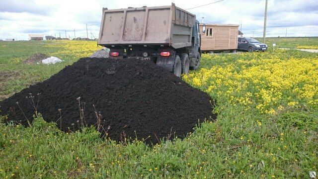 Участок доставки. Чернозем грунт КАМАЗ. Перегной чернозем торф КАМАЗ. КАМАЗ С черноземом 10 кубов. Земля чернозем КАМАЗ.