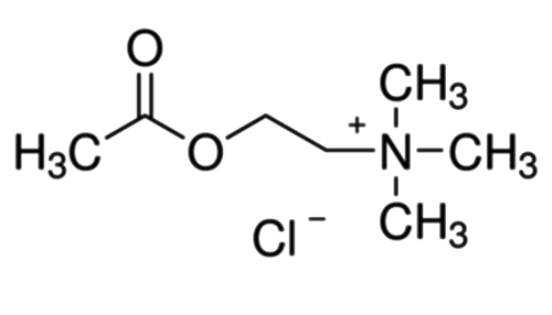 Ацетилхолин хлорид