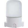 Светильник накладной прямой для бани и сауны IP65, 230V 60Вт Е27, НББ 01